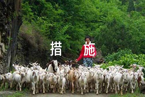 如何使用智能健身设备进行篮球专项训练_1